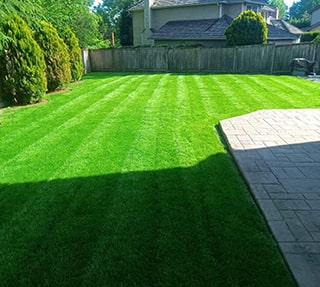 new_lawn_installation