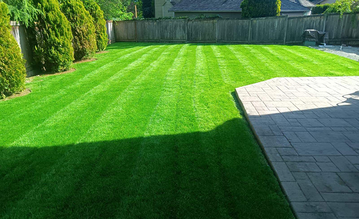 new_lawn_installation